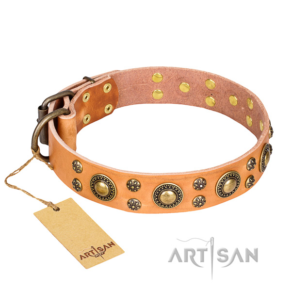 Collare "Sophisticated Glamor" FDT Artisan per cane